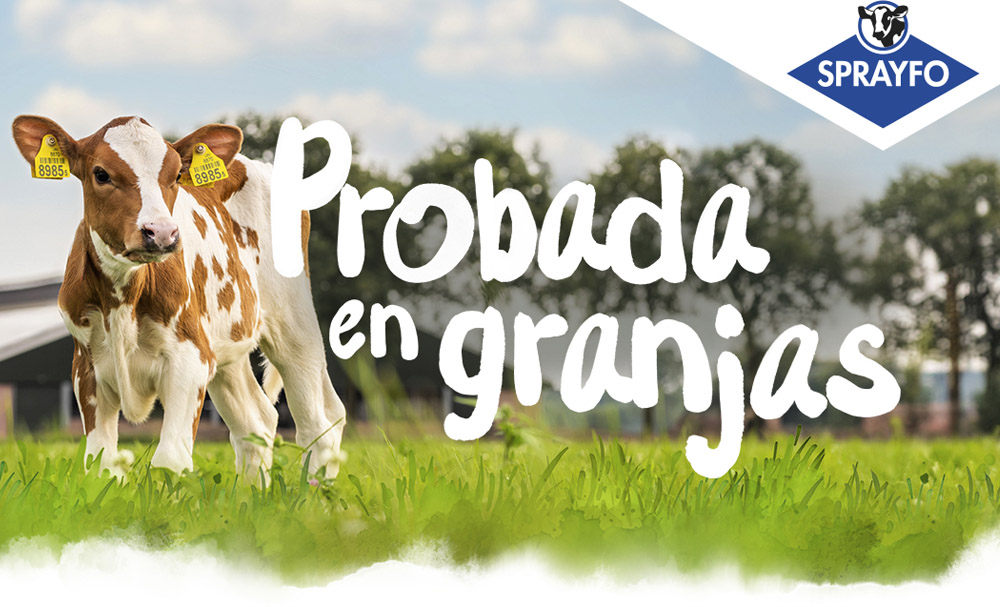 Calves in a field with title Proven on farm