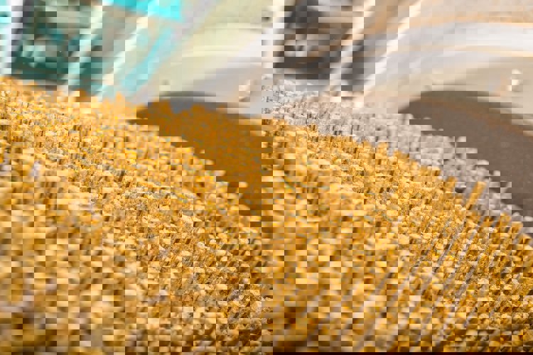 Estructura alimentaria 