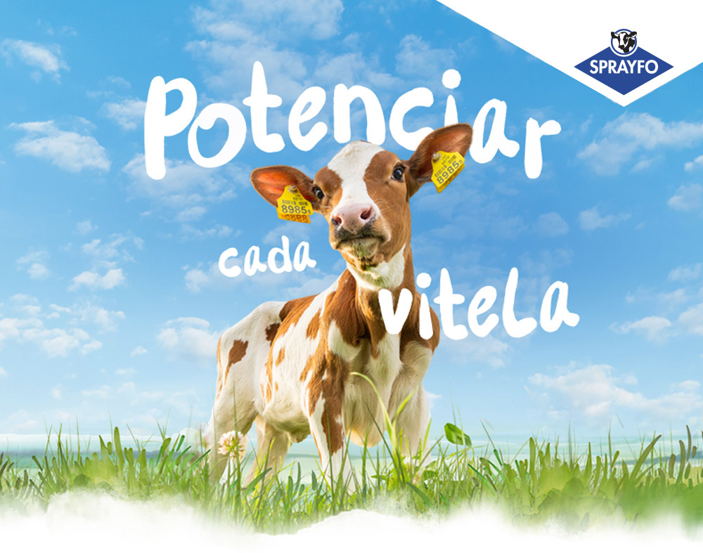 Calf in a field with the title Empower every calf