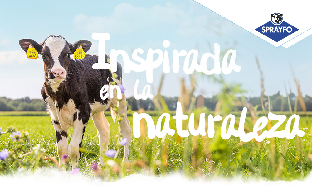 Calf in a field with title Inspired by nature